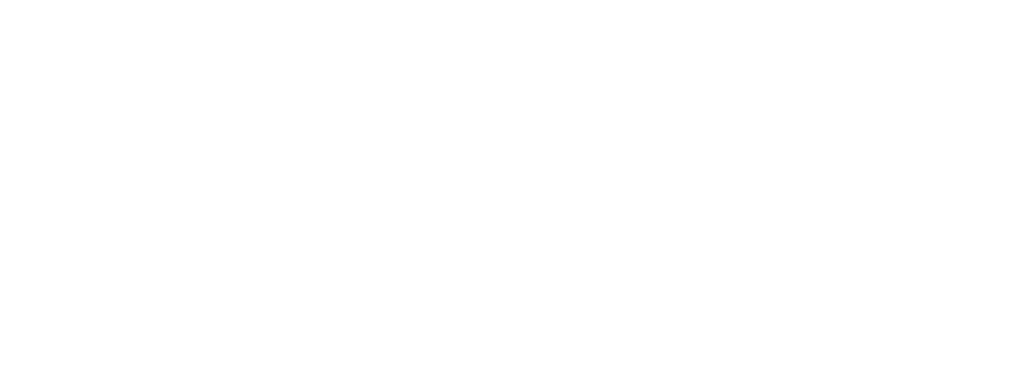 Free redemptions with selected Blower and Chainsaw Kits